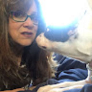 Meet your Posher, Karin